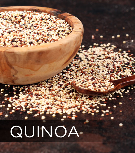quinoa